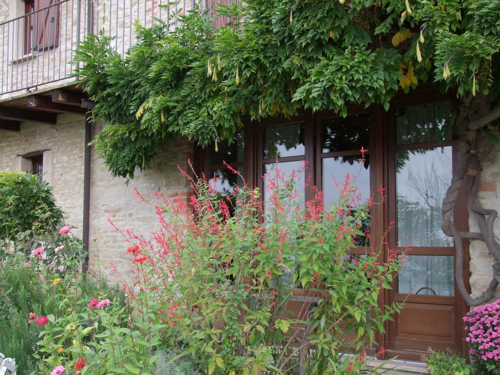 트레쪼 티넬라 Casa Branzele B&B 외부 사진