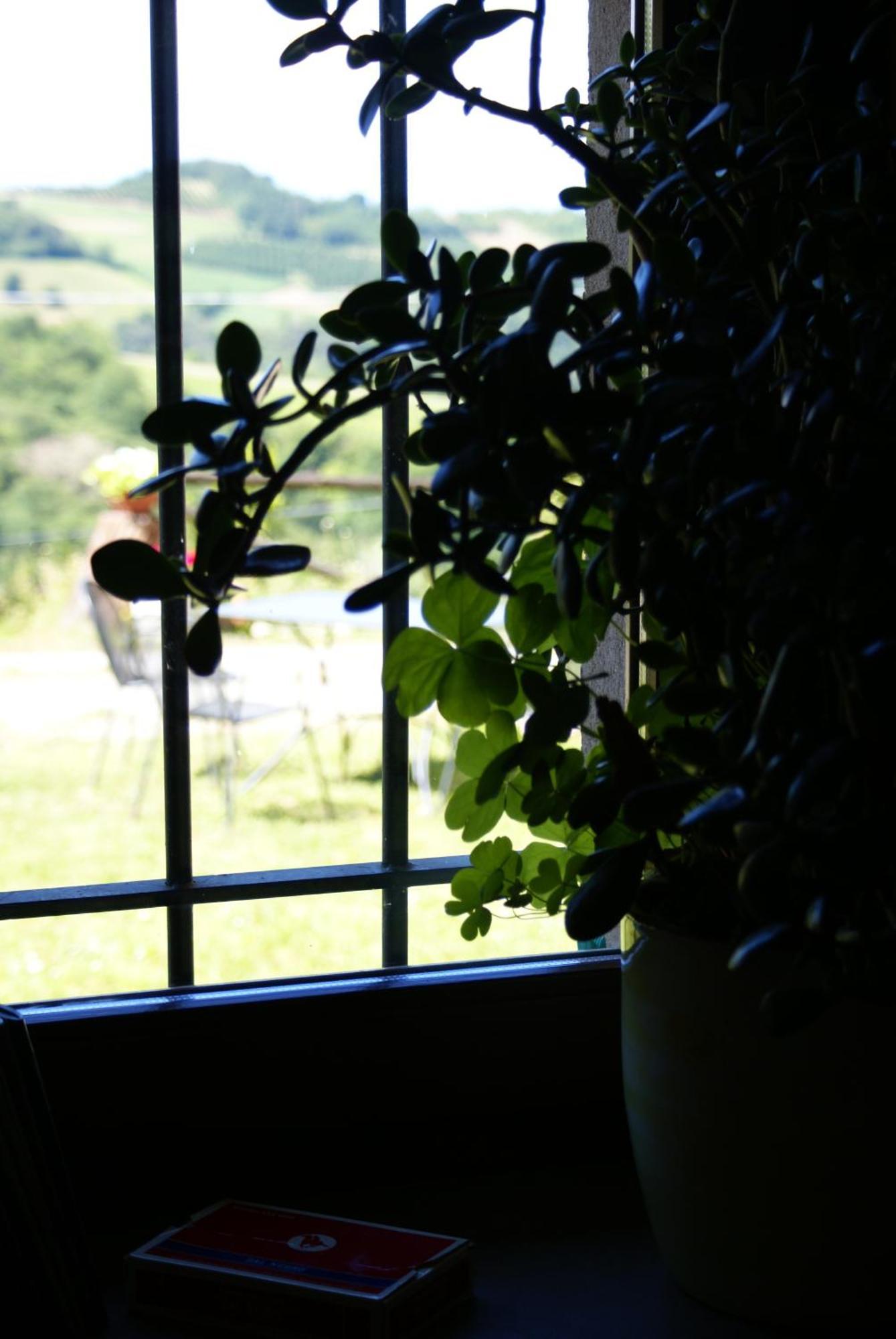 트레쪼 티넬라 Casa Branzele B&B 외부 사진