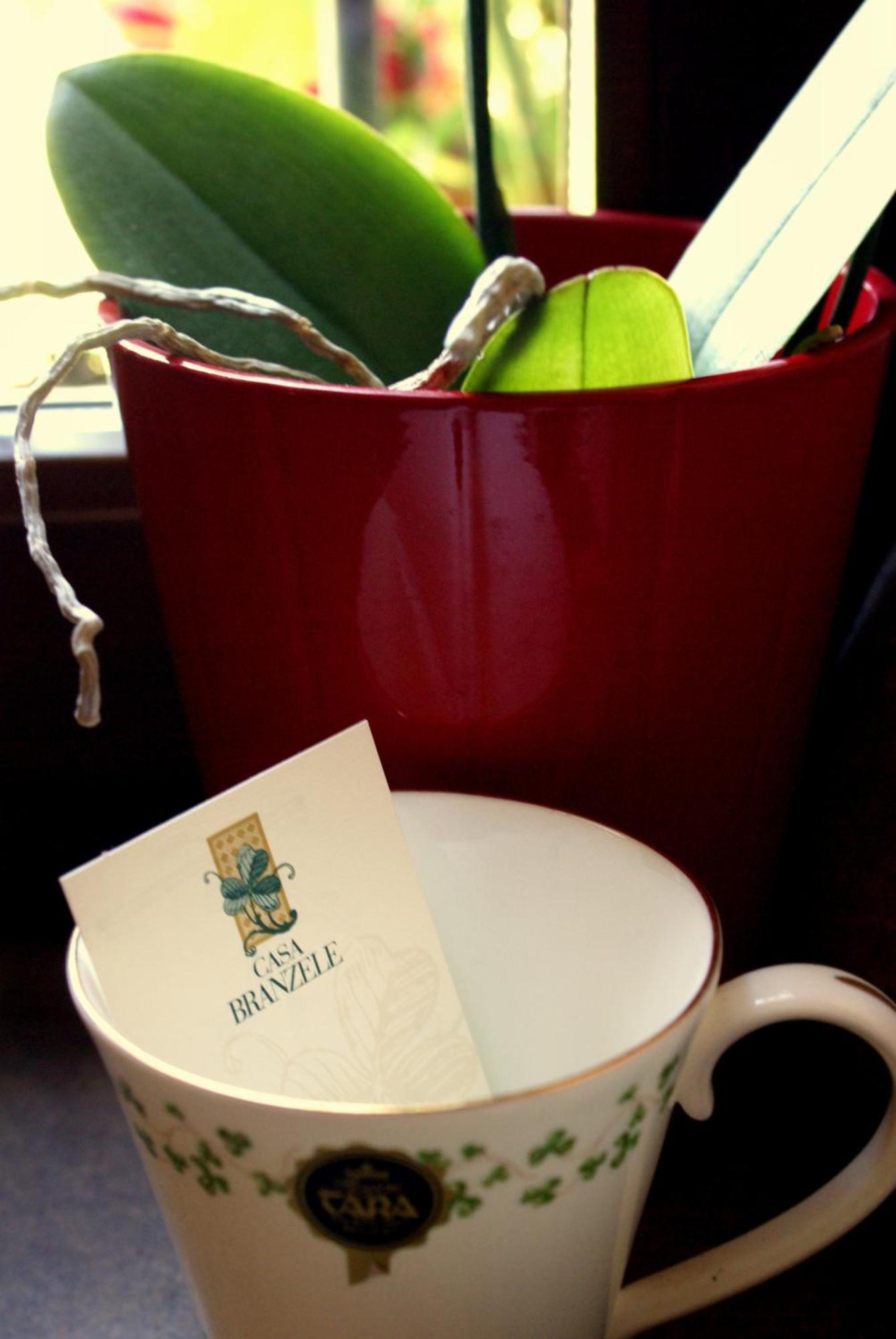 트레쪼 티넬라 Casa Branzele B&B 외부 사진