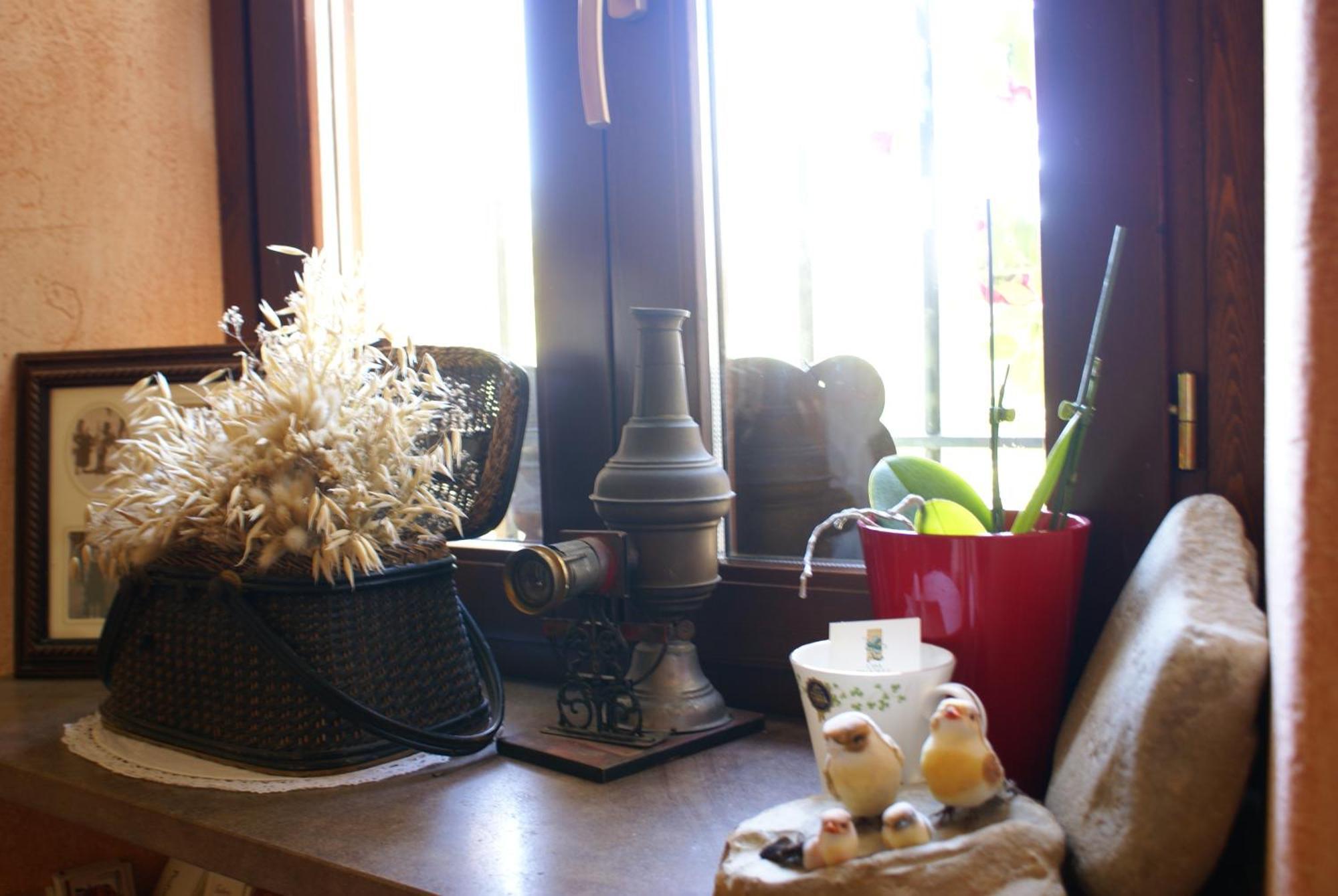 트레쪼 티넬라 Casa Branzele B&B 외부 사진