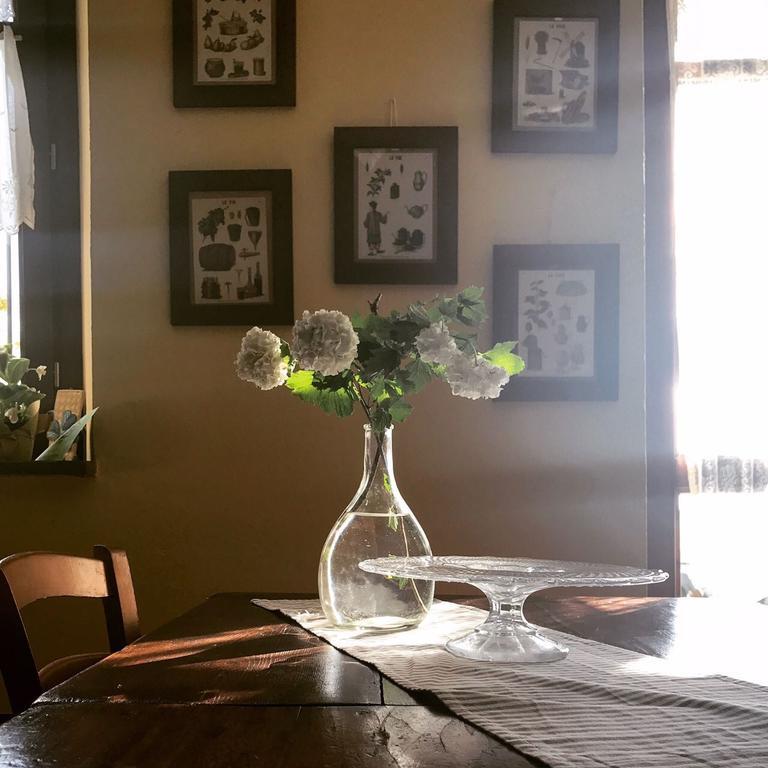 트레쪼 티넬라 Casa Branzele B&B 외부 사진