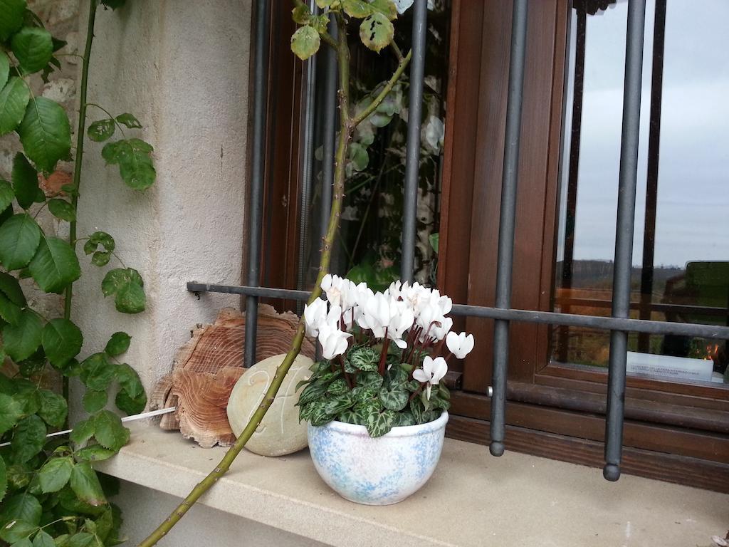 트레쪼 티넬라 Casa Branzele B&B 외부 사진